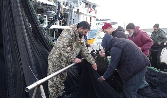 İğneada ve Gürcistan açıklarındaki hamsi avı beklentileri karşılamayınca balıkçılar erken paydos etti