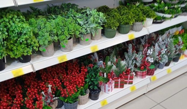 Kırklareli’nde Yapay Süs Bitkilerine İlgi Artıyor