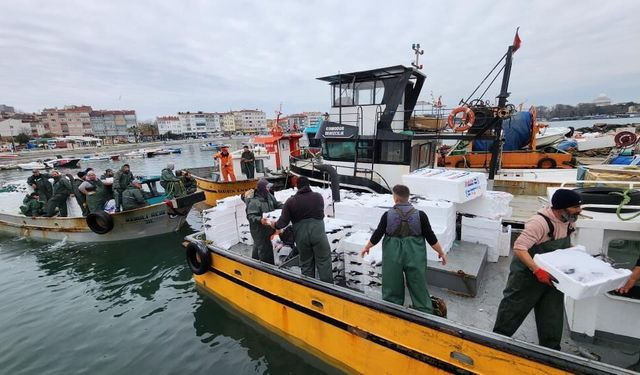 Tekirdağ açıklarında torik bereketi