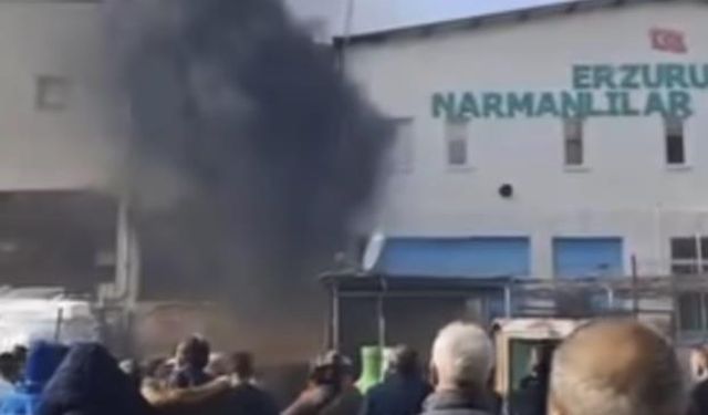 Bursa'da yangını vatandaşlar film izler gibi izledi