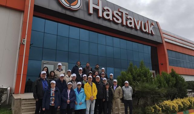 ABD Türk tavuğunun peşinde