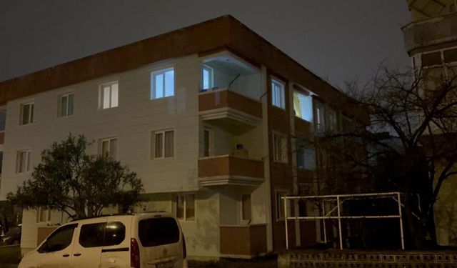 Telefonla yüksel sesle konuşma kavgasında ablasını bıçaklayıp balkondan atladı