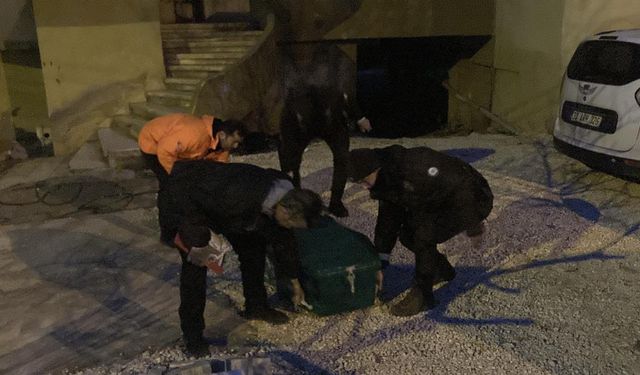 Polis kavga ihbarına gitti, banyoda cesetle karşılaştı: 3 gözaltı