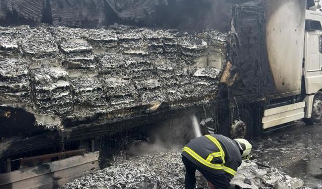 Hamsi yüklü tır alevlere teslim oldu: Dorse kullanılamaz hale geldi