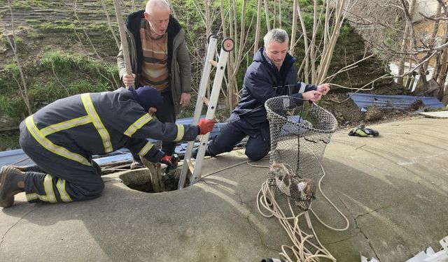 Su deposuna düşen yavru köpek 6 saat sonra kurtarıldı
