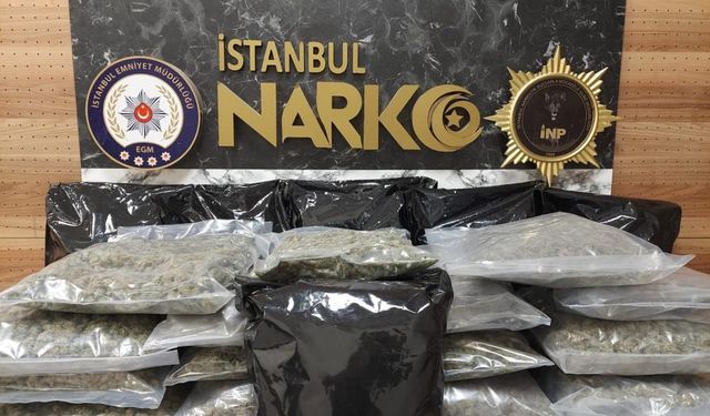 İstanbul'da uyuşturucu operasyonu: 22 kilo 450 gram skunk ele geçirildi