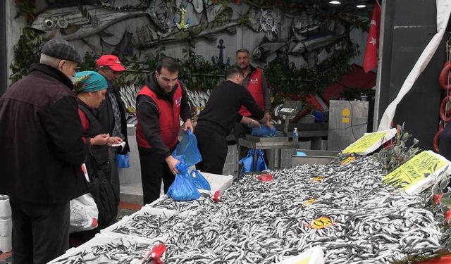 Edirne'de hamsinin kilosu 50 liraya düştü, tezgahlar şenlendi
