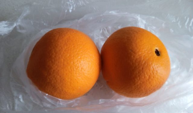 Kırklareli’nde Portakala İlgi Sürüyor