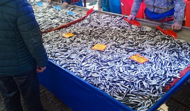 Cumartesi Pazarında Balık Tezgâhları Doldu, Fiyatlar Dikkat Çekti