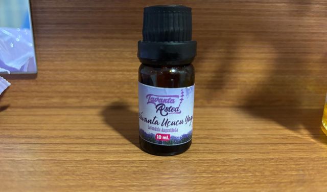 Lavanta Yağı Rahatlatıcı Ortam Kokusu Olarak Öne Çıkıyor