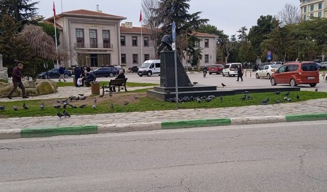 Özgürlük ve Demokrasi Meydanı’nda Güvercin Yoğunluğu