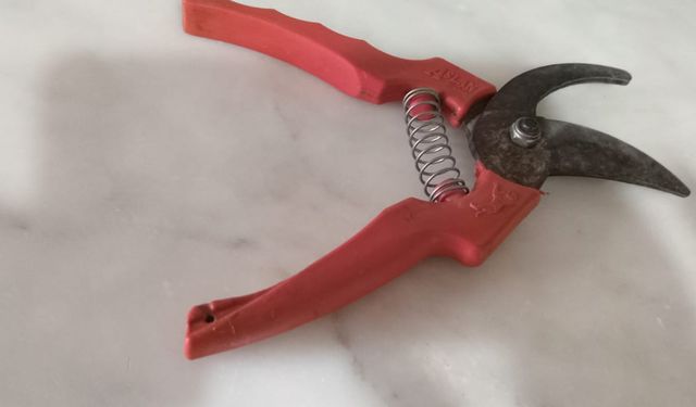 Kırklareli’nde Budama Sezonu Başladı