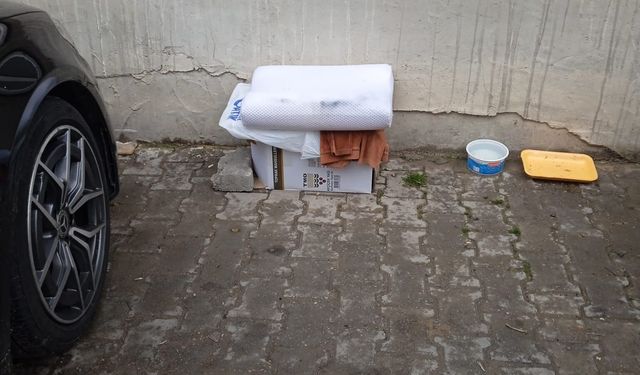 Kırklareli’nde Sokak Kedileri İçin Yuva