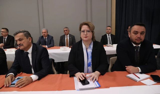 Müdür Cerit, İl Sağlık Müdürleri Toplantısına Katıldı