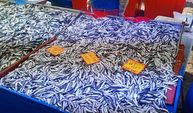 Cumartesi Pazarında Sabah Sakinliği, Balık Tezgâhlarında Yeni Fiyatlar