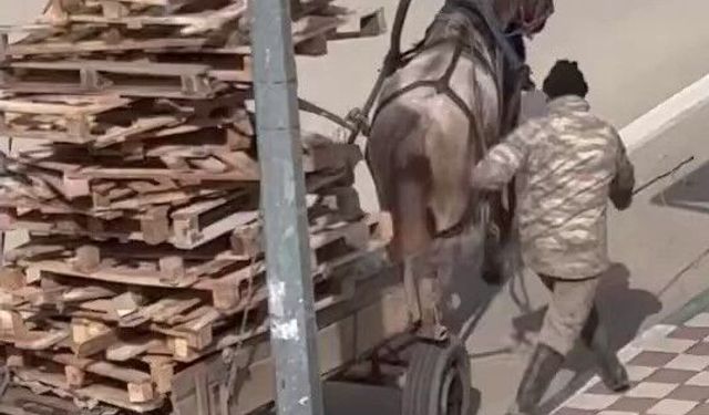 Bursa’da pes dedirten görüntüler