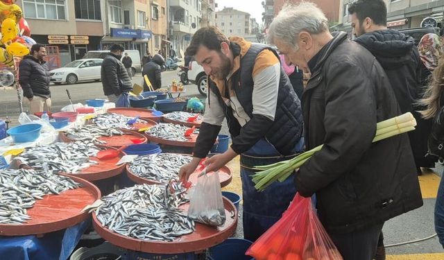 Tekirdağ'da hamsi 50 TL’ye düştü