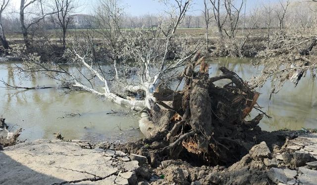 Tunca Nehri kıyısında toprak kayması: 9 yıl sonra gelen taşkınlar zemini etkiledi