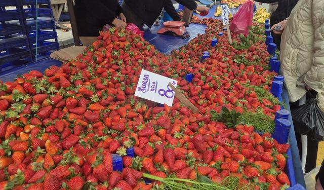 80 TL'lik çileğe yoğun ilgi