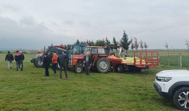 Merada gübreleme çalışması yapıldı