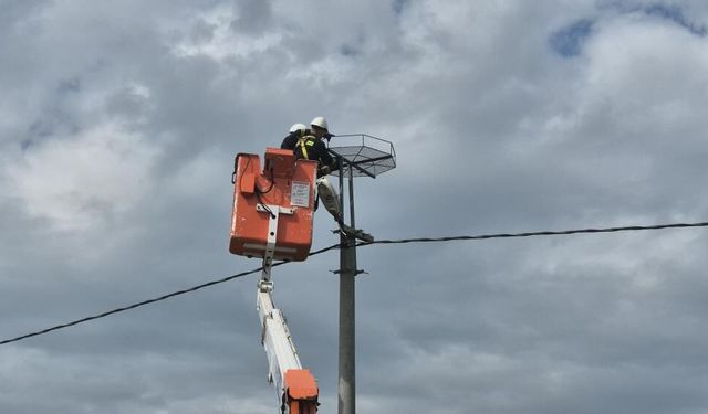 Ölüm hattıydı, yuvalara dönüştü: Bini aştı