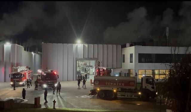 Çerkezköy OSB'de fabrika yangını kontrol altına alındı