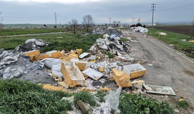 Tekirdağ'da kamyon kamyon atık döküldü