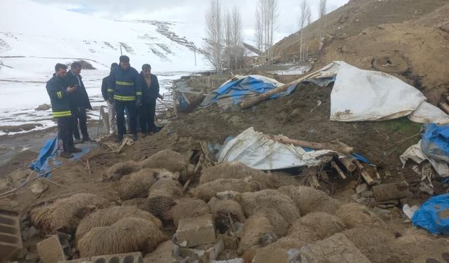 Van'da ahır çöktü, 23 küçükbaş hayvan telef oldu