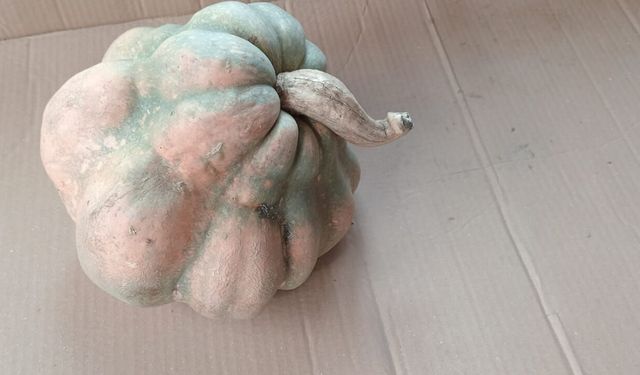 Kışlık Kabaklar Tüketilmeye Devam Ediyor