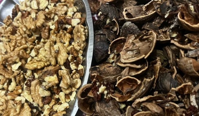 Cevizler Ayıklanmaya Başladı