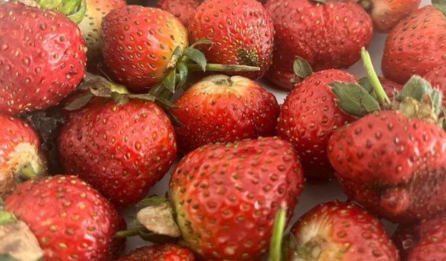 Buzluktan Tatlılara Yolculuk