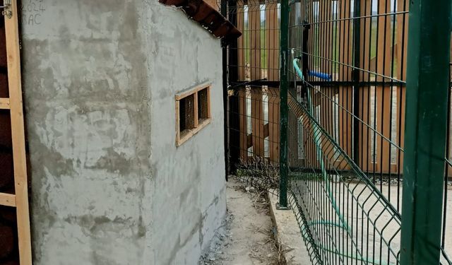 Yem Hayvanlarına Koruma Sağlıyor