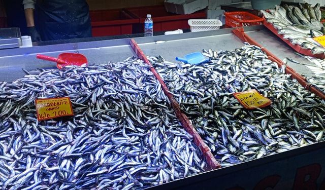 Çarşamba Pazarında Balık Tezgâhlarında Fiyatlar Belli Oldu
