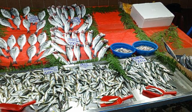Çarşamba Pazarında Balık Tezgâhları İlgi Gördü