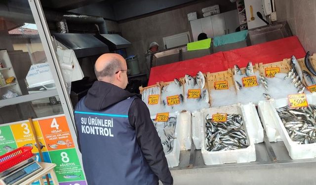 Edirne’de su ürünleri denetimleri sürüyor