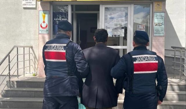 Köpeği zincirle ağaca asarak öldüren şahıs gözaltına alındı