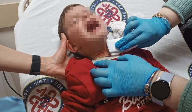 İzmir'de parkta oynayan 2 yaşındaki çocuğa bıçaklı saldırı
