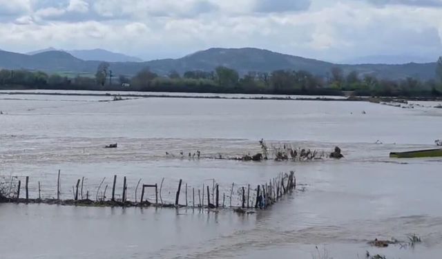 Meriç Nehri taştı, sular yollara ulaştı
