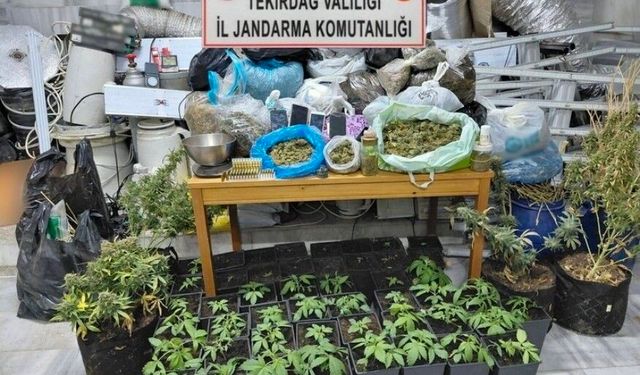 Tekirdağ'da uyuşturucu operasyonu: 1 tutuklama