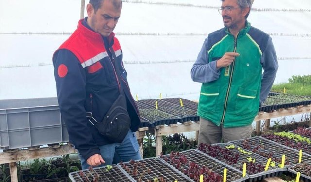 Pınarhisar'da üreticilere teknik destek