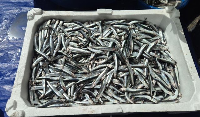 Av yasağı öncesi pazarda yoğunluk