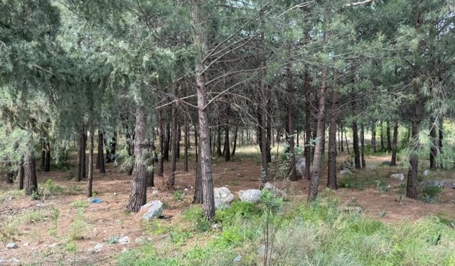 Anne ve oğlunu öldüren katil akrabaların çaldıkları altınları kuyumcuya sattıkları ortaya çıktı