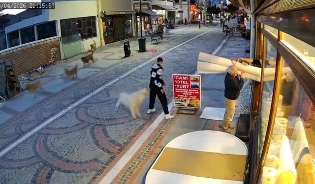 Edirne'de başıboş köpek saldırısı: 19 yaşındaki genç yaralandı