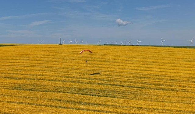 Tekirdağ'da sarı şölen: Paramotorlar sarı tarlaları gezdi