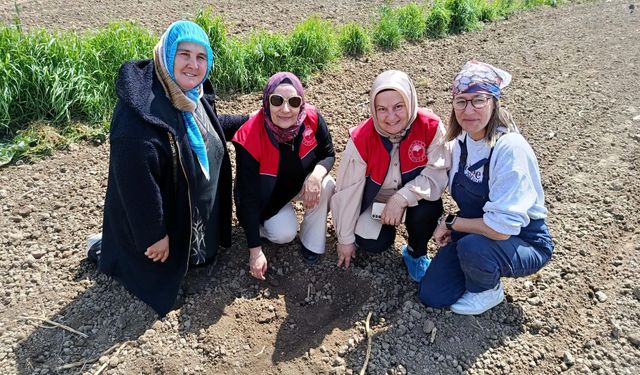Kadın Çiftçiler Fasulye Tohumlarını Toprakla Buluşturdu