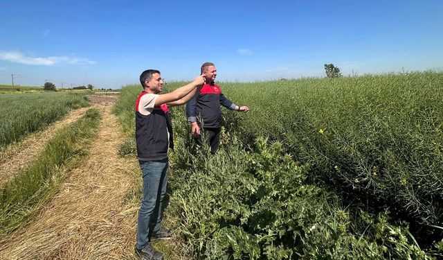Tarımda CBS Destekli Saha Çalışmaları Sürüyor