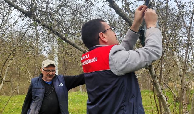 Kahverengi Kokarca İçin İzleme Çalışması Başlatıldı