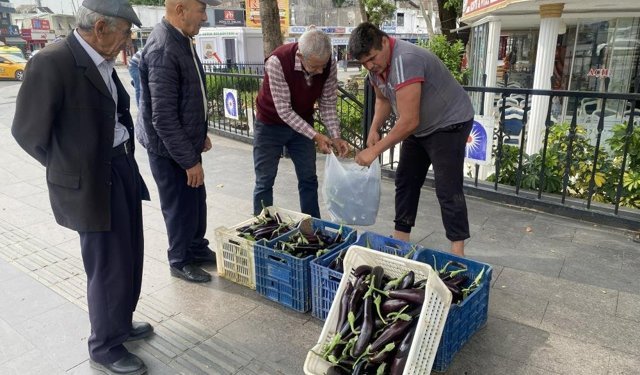 Ürettiği patlıcanlar maliyetini kurtarmayınca serasının kapılarını vatandaşlara açtı