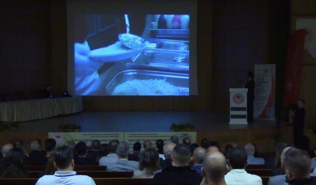 Edirne'de çeltiğin geleceği masaya yatırılıyor