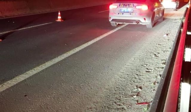 Yola çıkan atlar zincirleme kazaya neden oldu